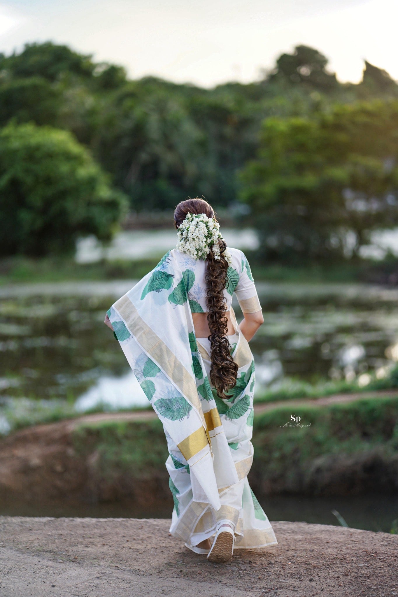 Green leaf printed Cotton saree